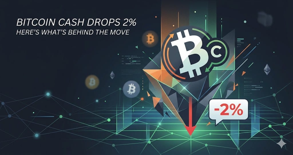 Bitcoin Cash Drops 2% Heres Whats Behind the Move