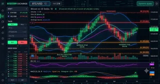 Solana (SOL) Interactive Chart Analysis — July 11, 2026 - Interactive Chart