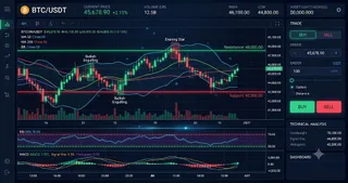 Solana (SOL) Interactive Chart Analysis — August 8, 2026 - Interactive Chart