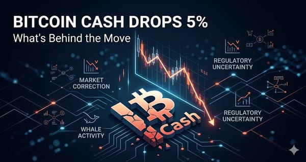 Bitcoin Cash Drops 5% Heres Whats Behind the Move